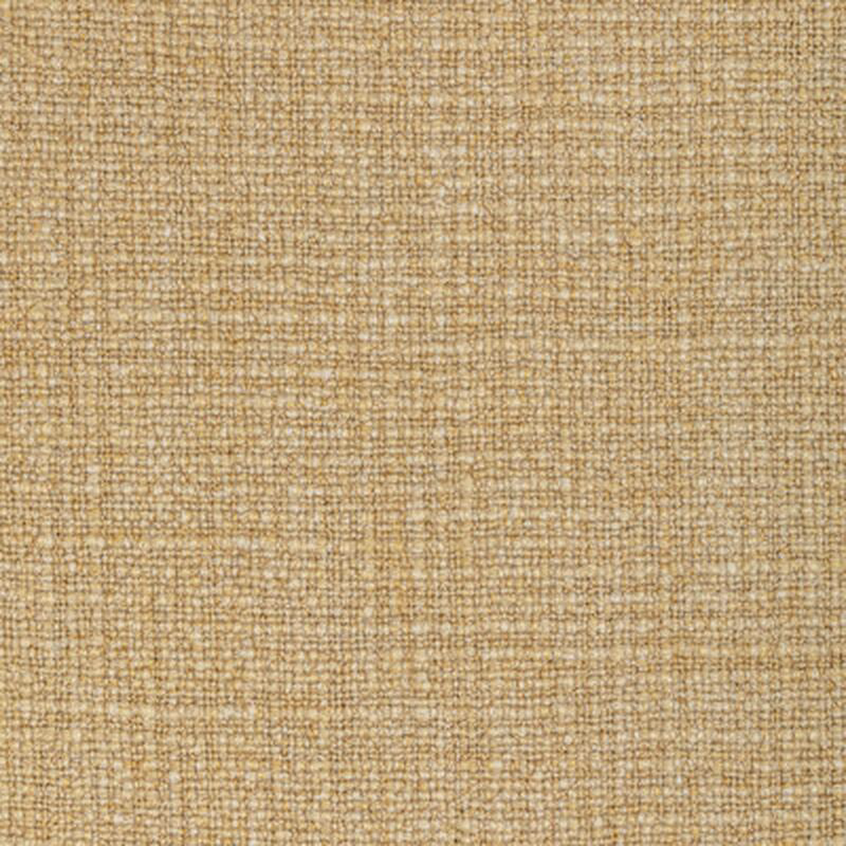 Ventureno Gold Coast by Kravet Fabric