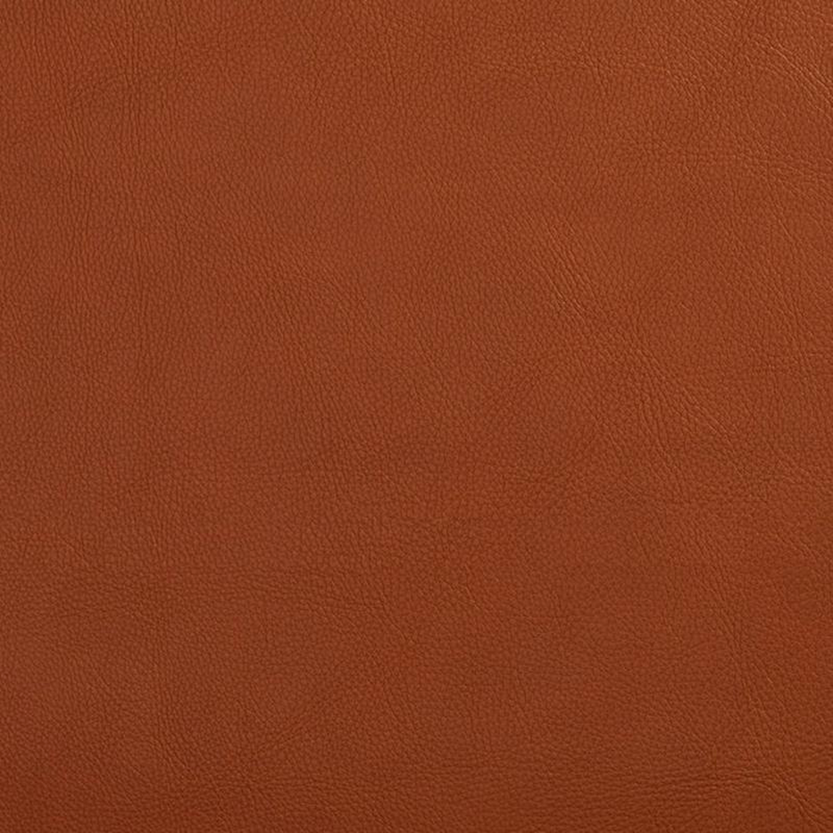 7443 Palomino by Charlotte Fabric