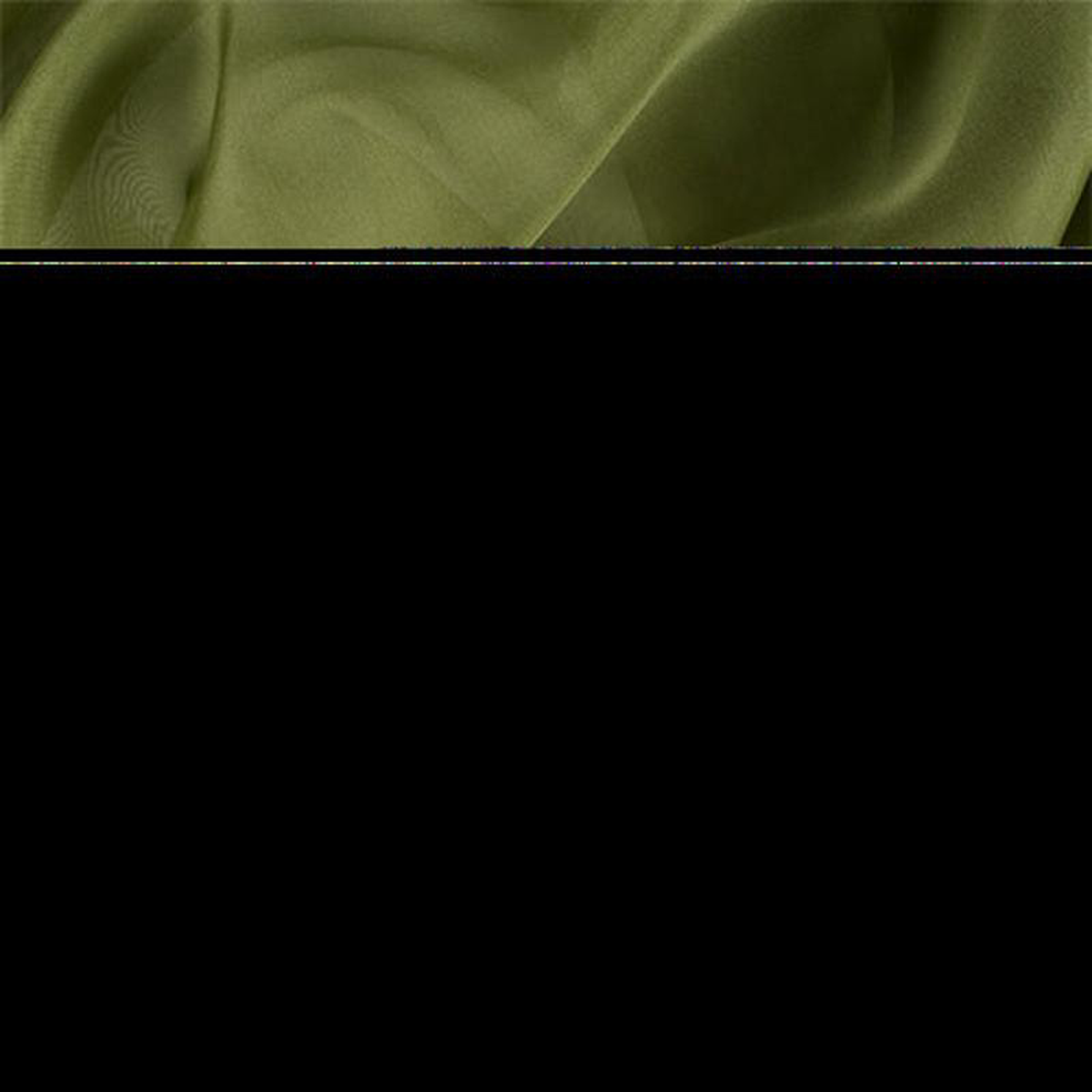 Runway Silks Grass Green Silk Organza Fabric 8211 Reorderable