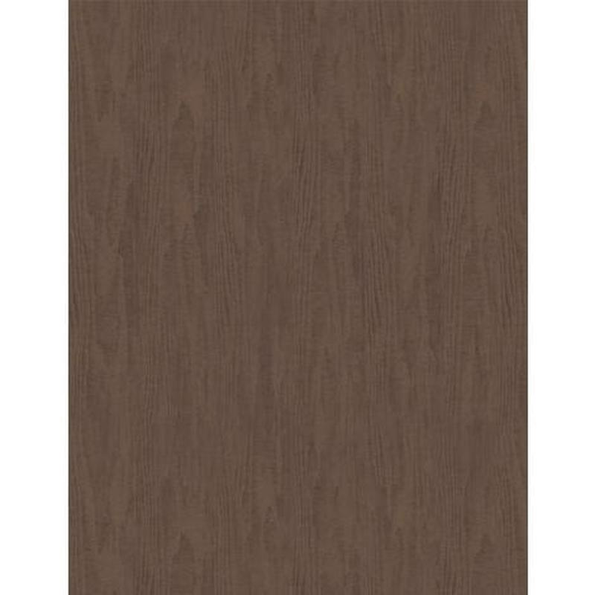 Wilmington Prints Evergreen Escape 3059-20066-222 Dark Brown