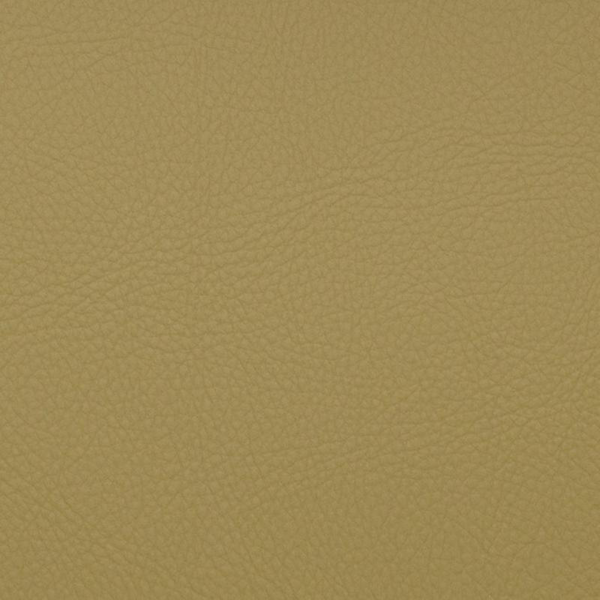 Voyager Aloe by Magnolia Fabric
