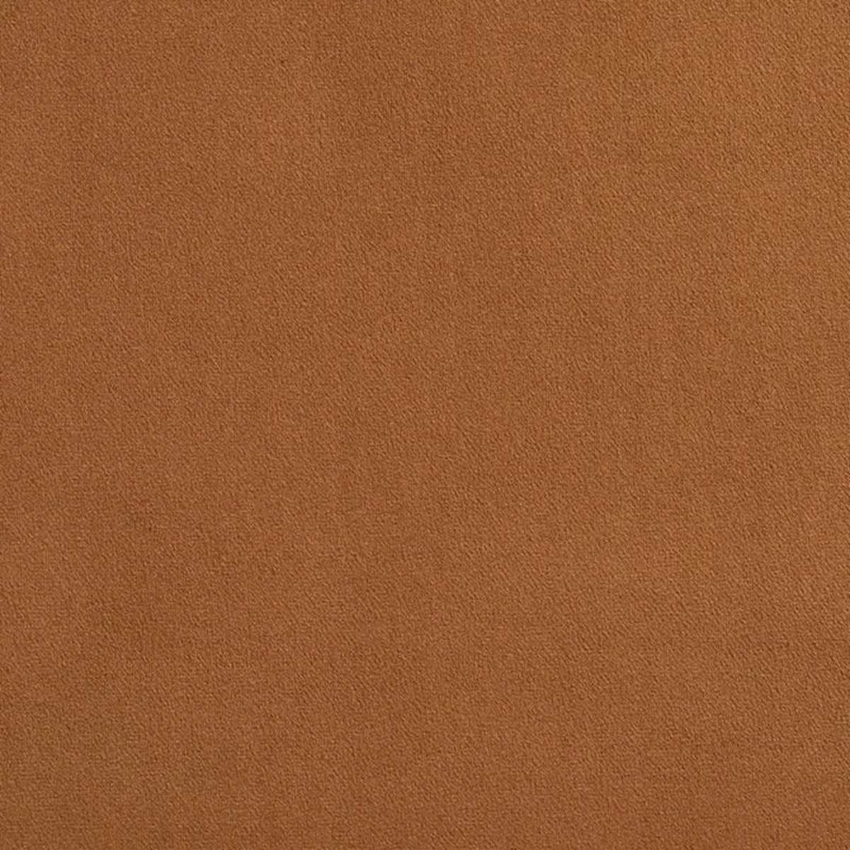2230 Camel by Charlotte Fabric