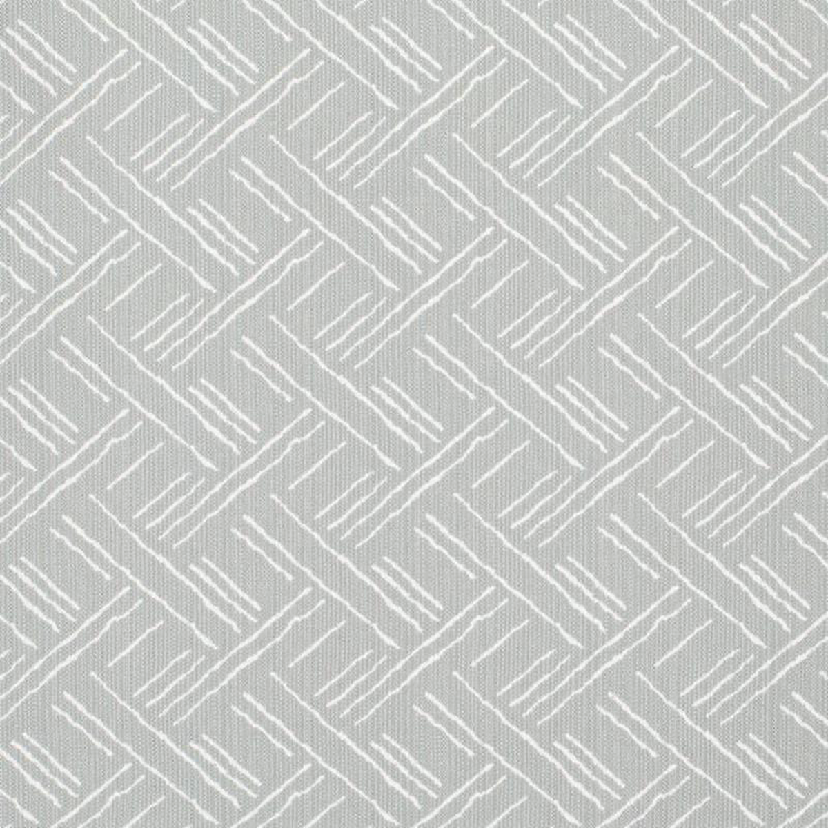 CB700-591 by Charlotte Fabric