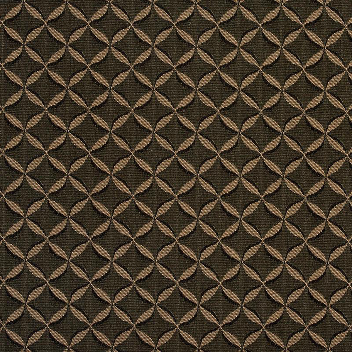 2766 Ebony by Charlotte Fabric