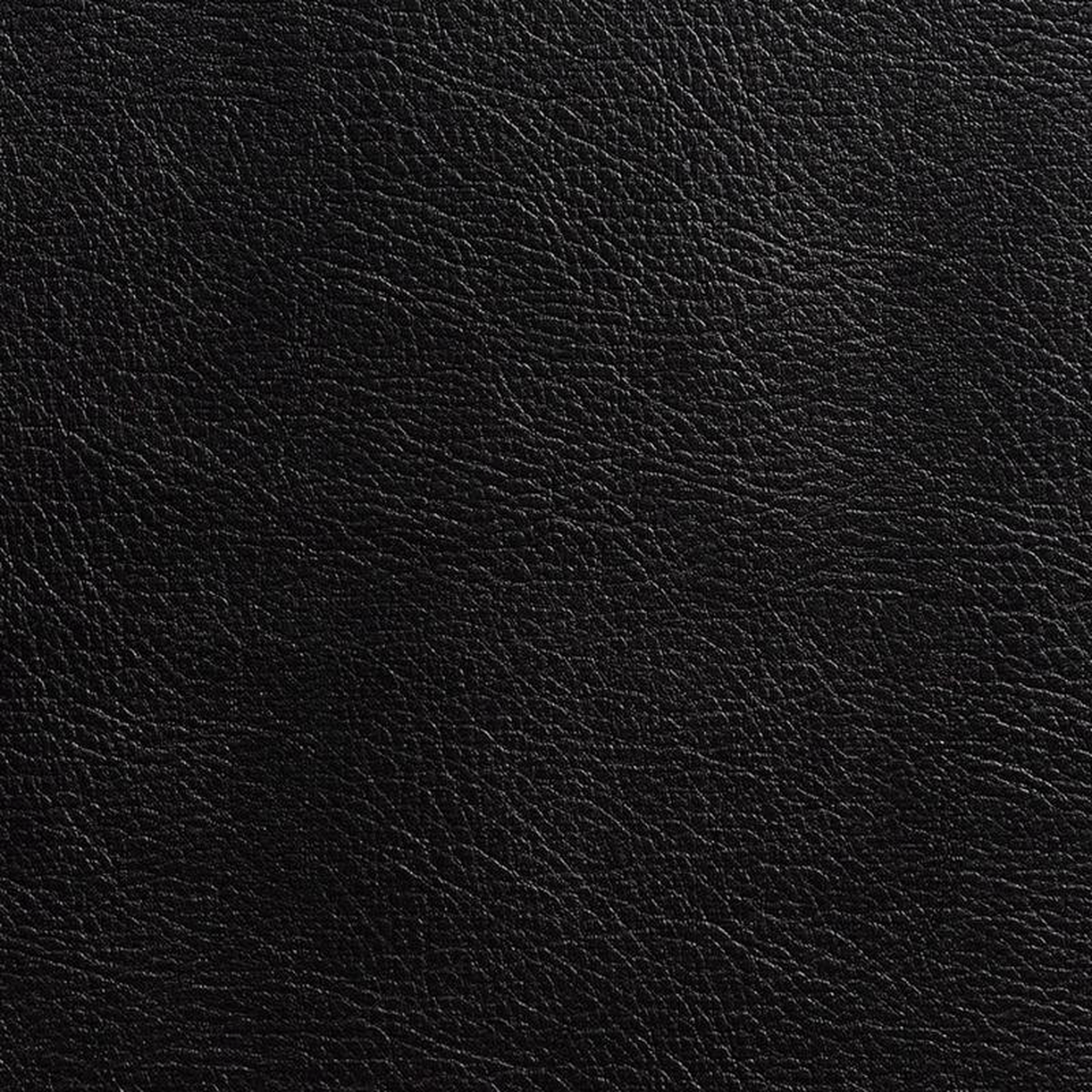 7982 Coal by Charlotte Fabric