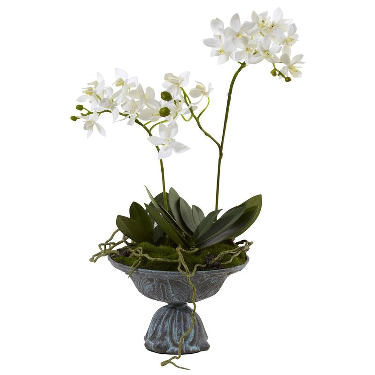 Mini Dendrobium wMetal Vase