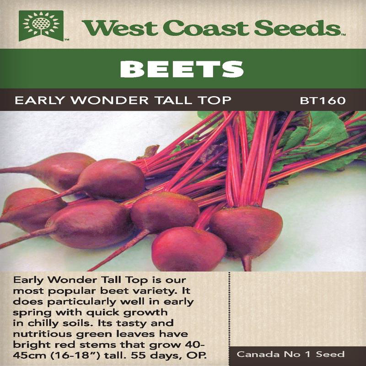 Beet Early Wonder Tall Top 8211 West Coast Seeds