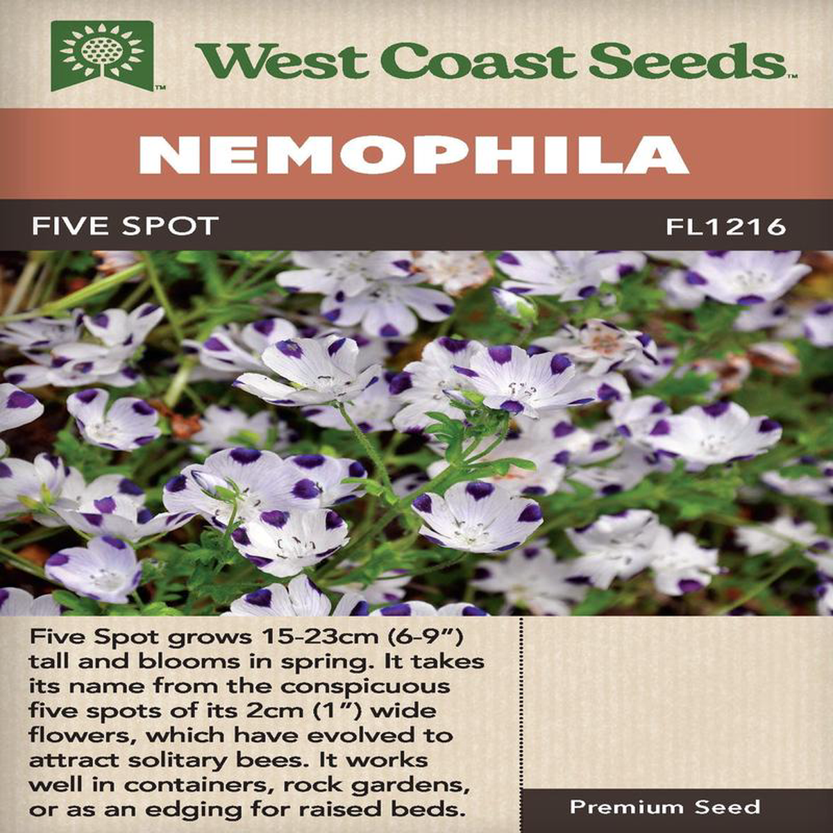 Nemophila Five Spot 8211 West Coast Seeds