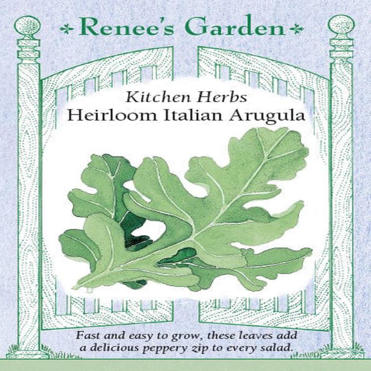 Arugula Italian Kitchen Herbs 8211 Renee8217s Garden