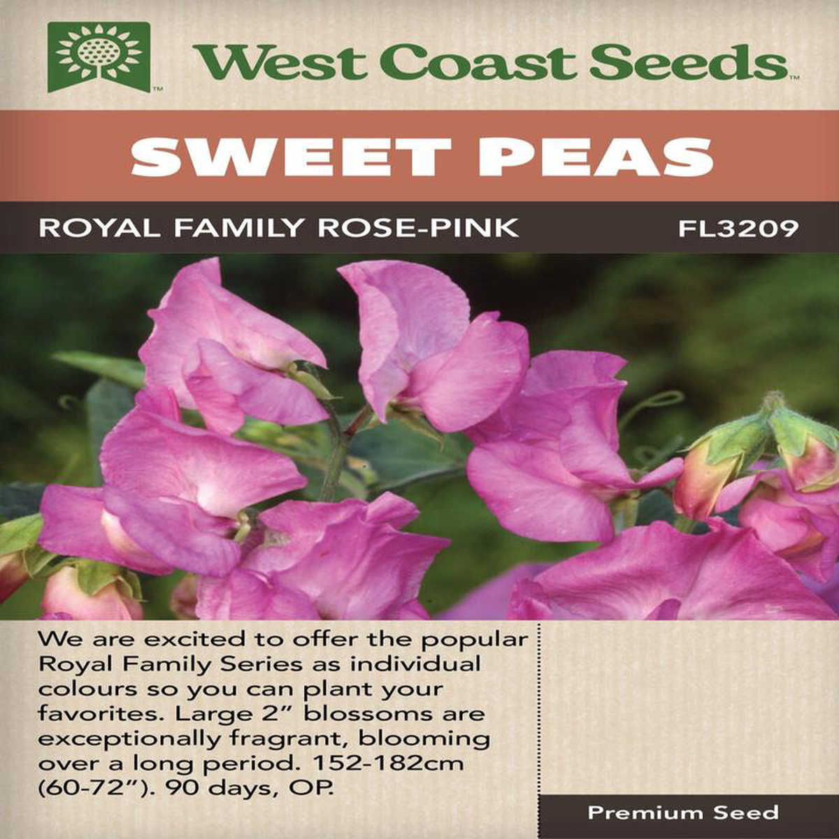 Sweet Peas Royal Family Rose-Pink 8211 West Coast Seeds