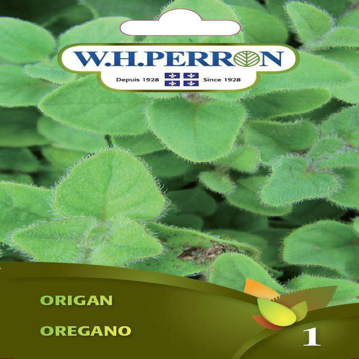 Oregano seeds