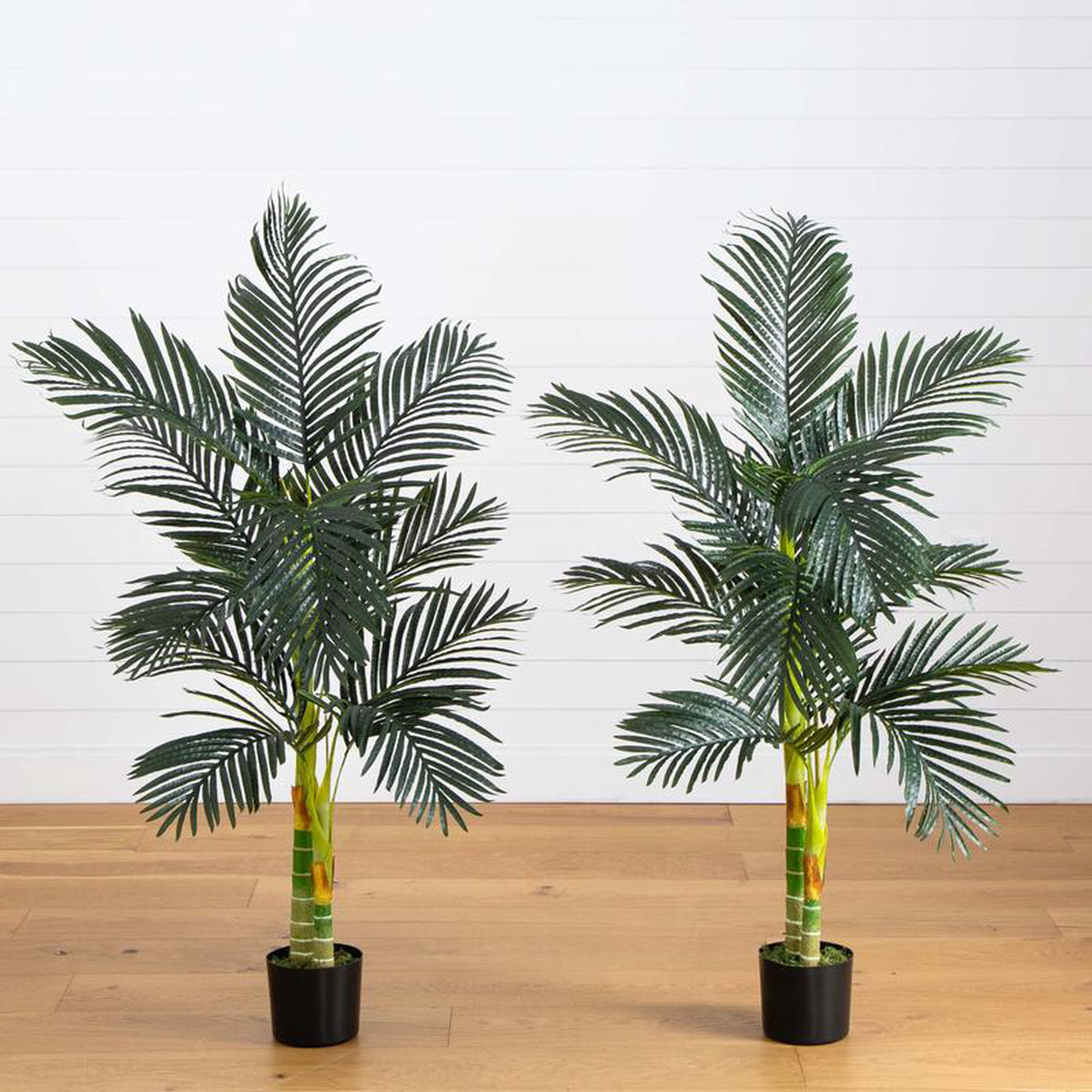 5 Artificial Double Stalk Golden Cane Palm Tree- Set of 2