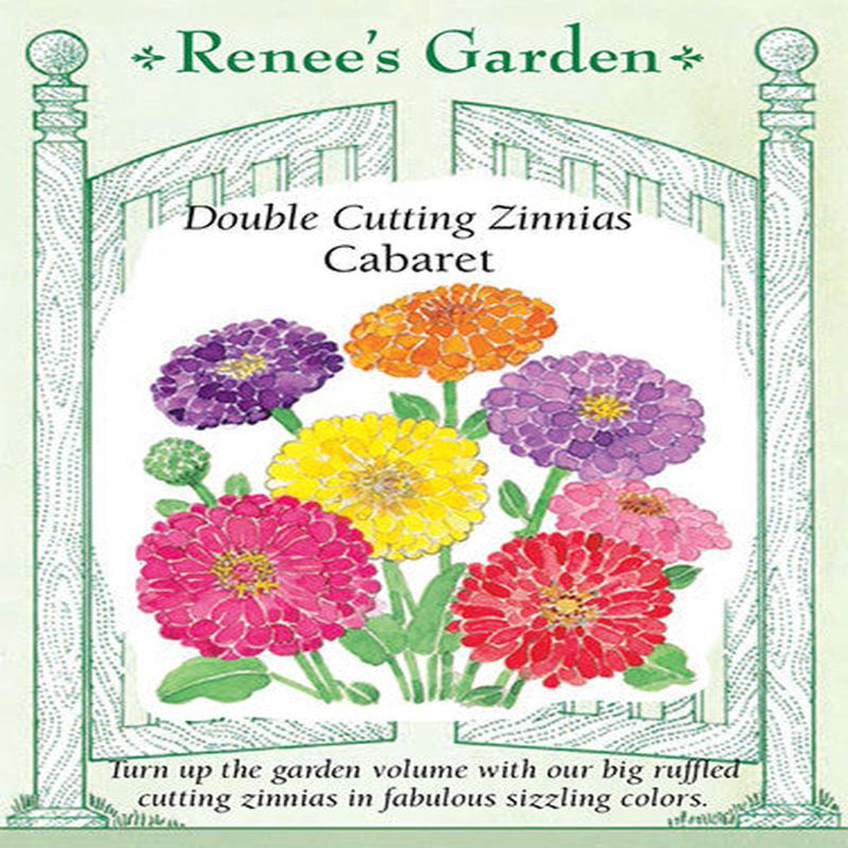 Zinnia Cabaret 8211 Renee8217s Garden
