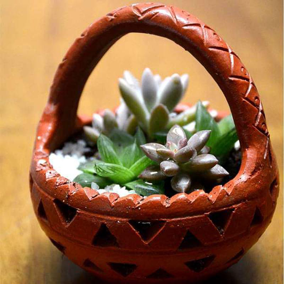 Cute succulent clay basket (45in Ht)