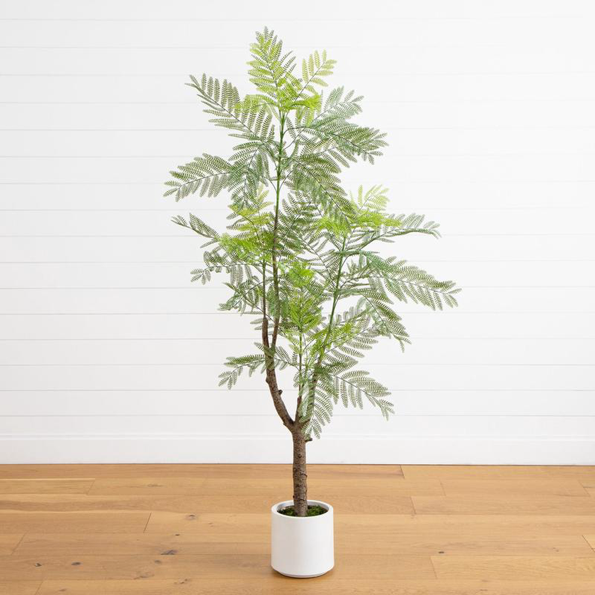6 Artificial Jacaranda Tree in White Decorative Planter