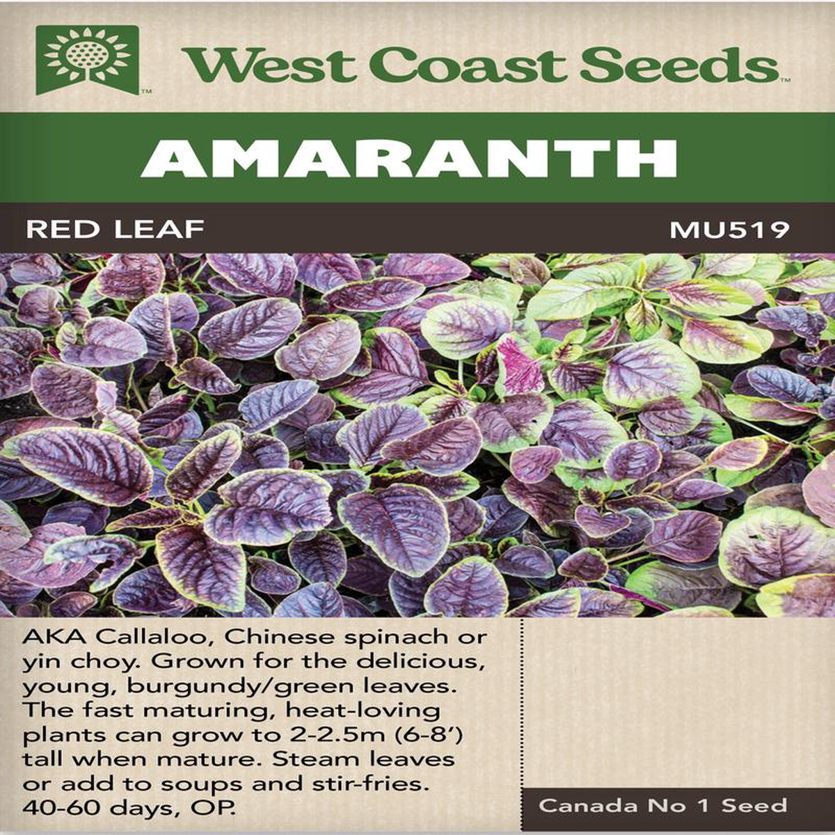 Amaranth Red Leaf 8211 West Coast Seeds