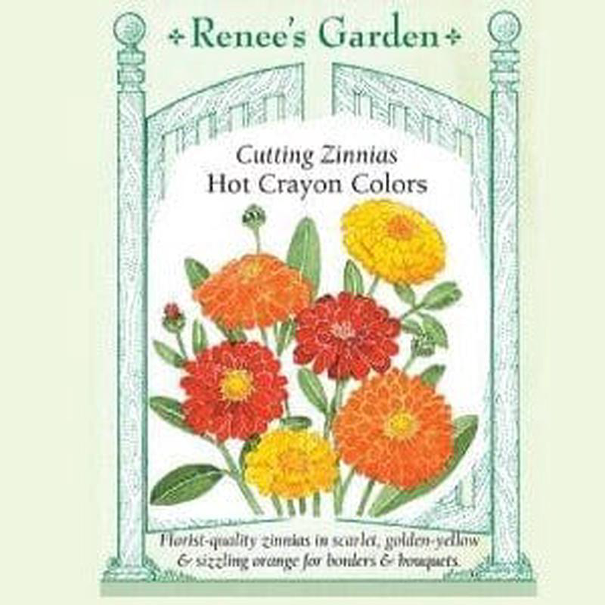 Zinnia Hot Crayon Colors 8211 Renee8217s Garden