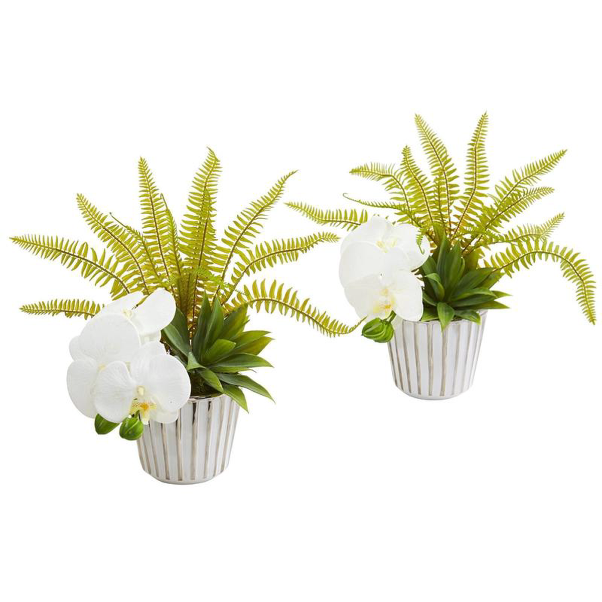 13 Phalaenopsis Orchid Agave and Fern Artificial Arrangement (Set of 2)