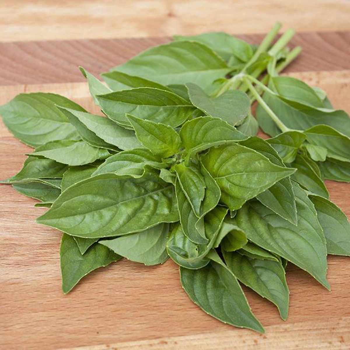 Basil Lemon 8211 Pacific Northwest Seeds