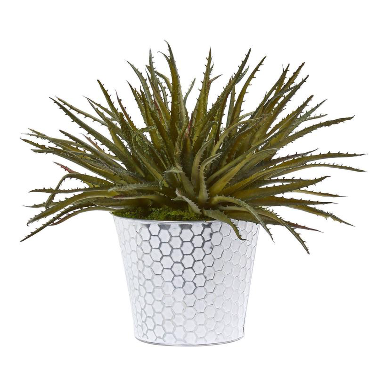 13 Aloe Artificial Plant in White Embossed Planter