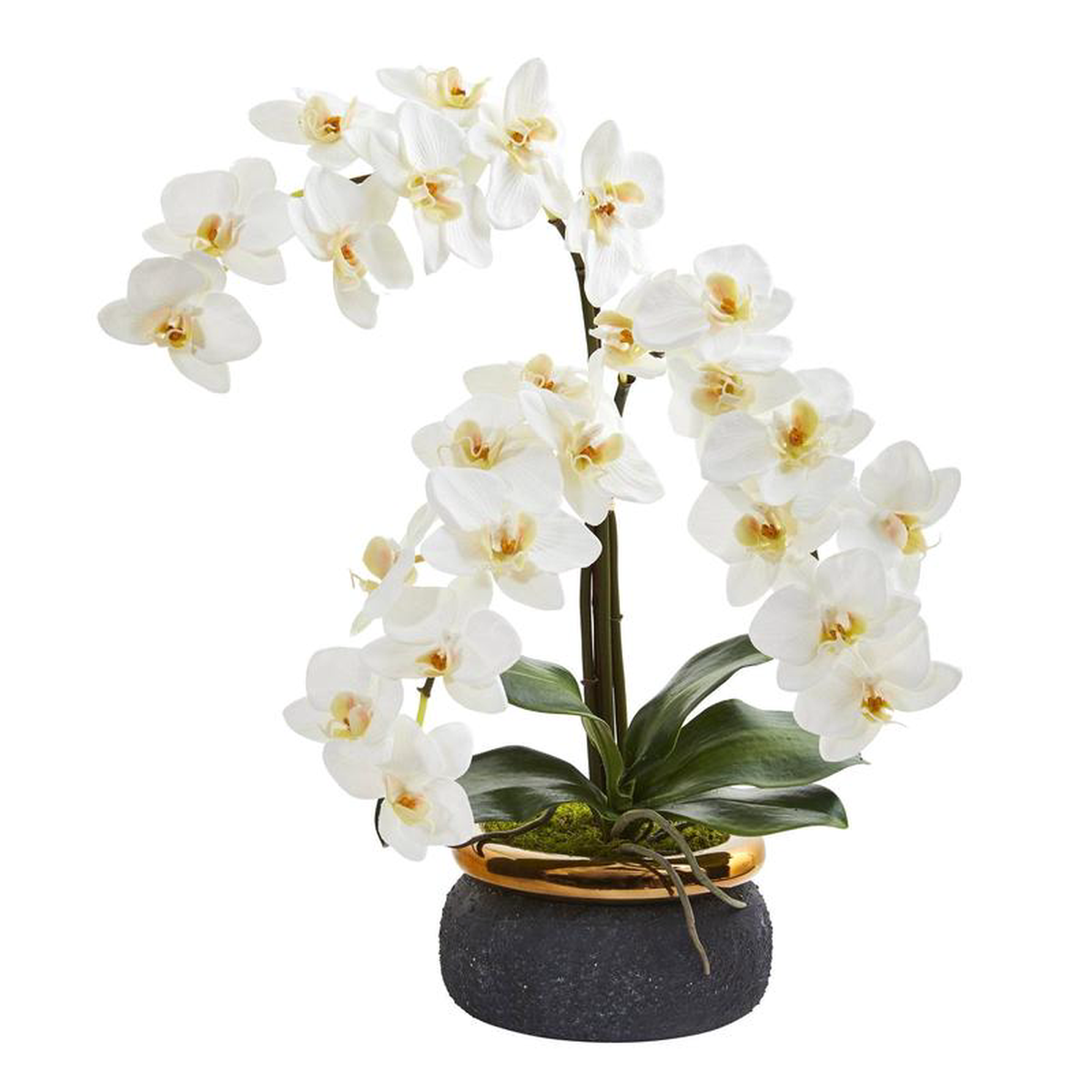 19 Triple Phalaenopsis Orchid Artificial Arrangement in Black Vase with Bronze Rim