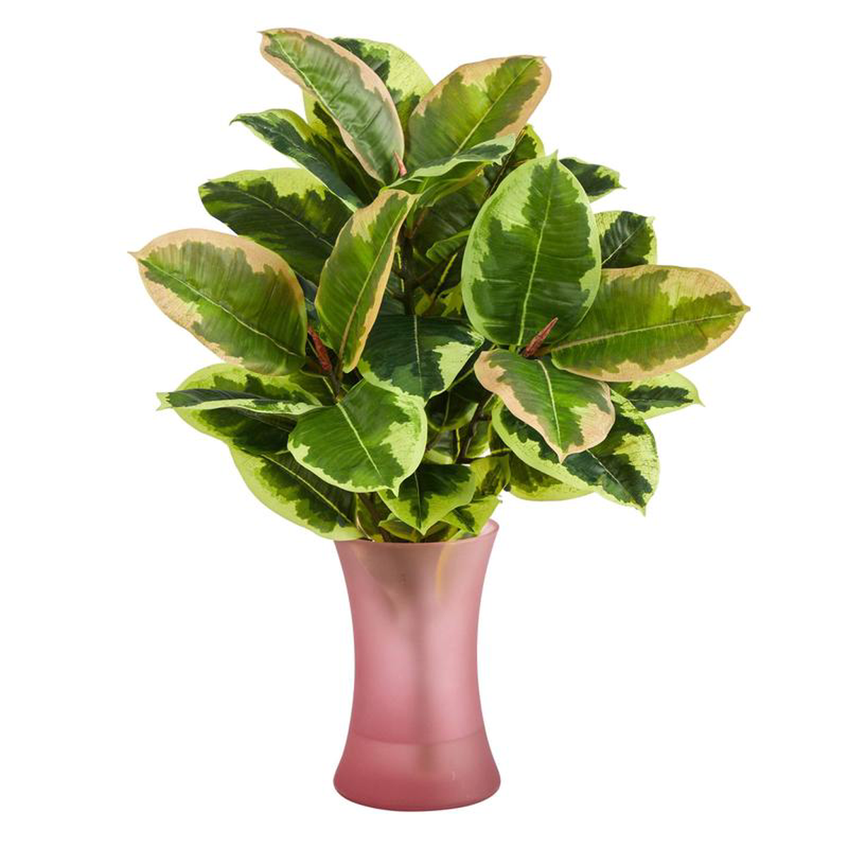 19 Rubber Leaf Artificial Plant in Rose Planter (Real Touch)