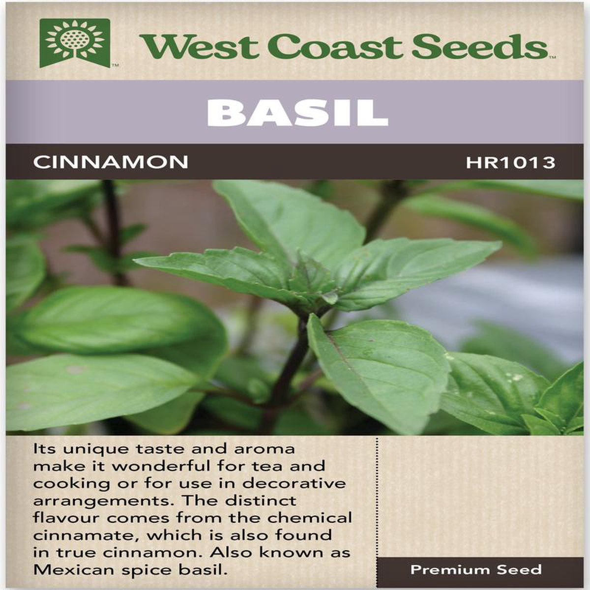 Basil Cinnamon 8211 West Coast Seeds