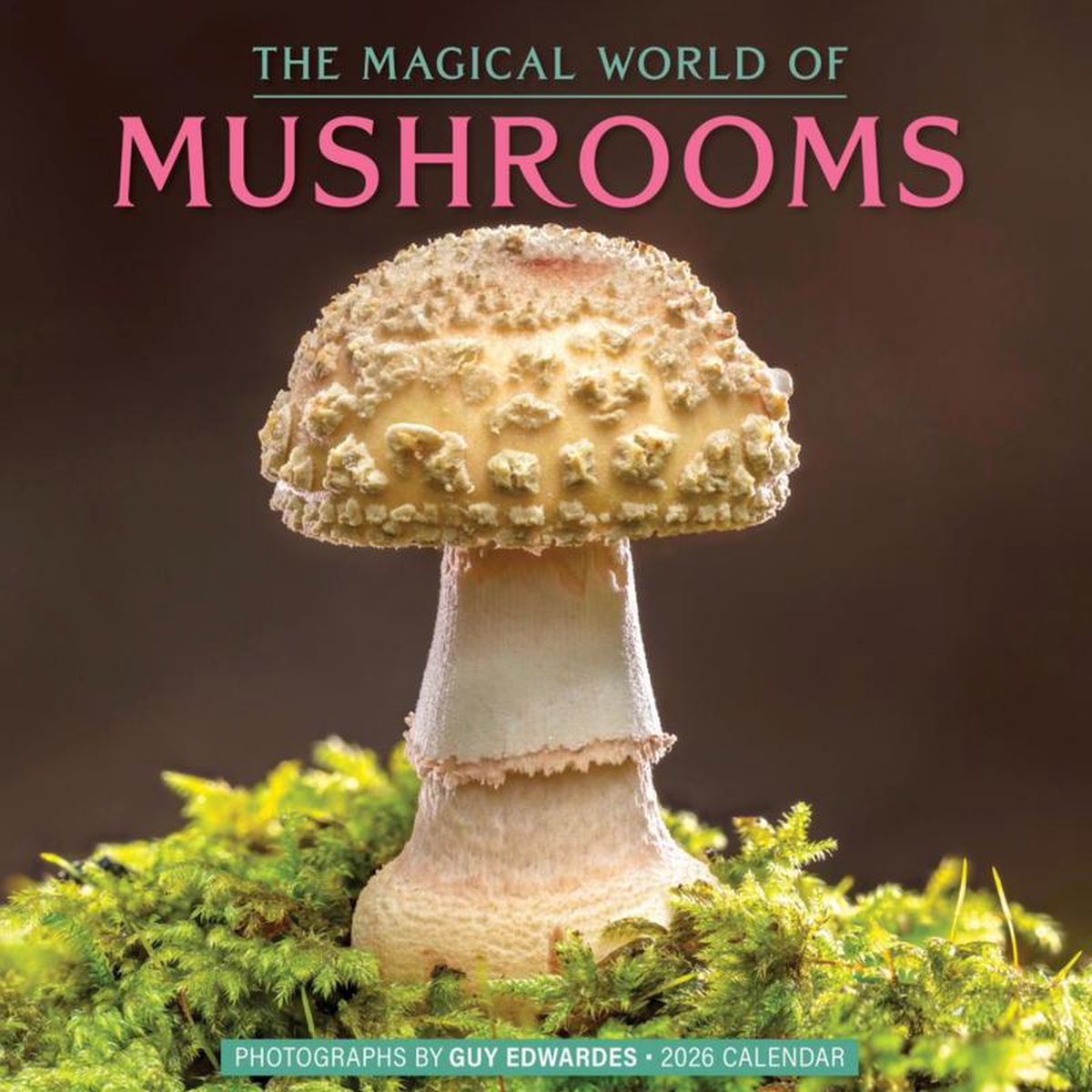 2026 The Magical World of Mushrooms Wall Caledar