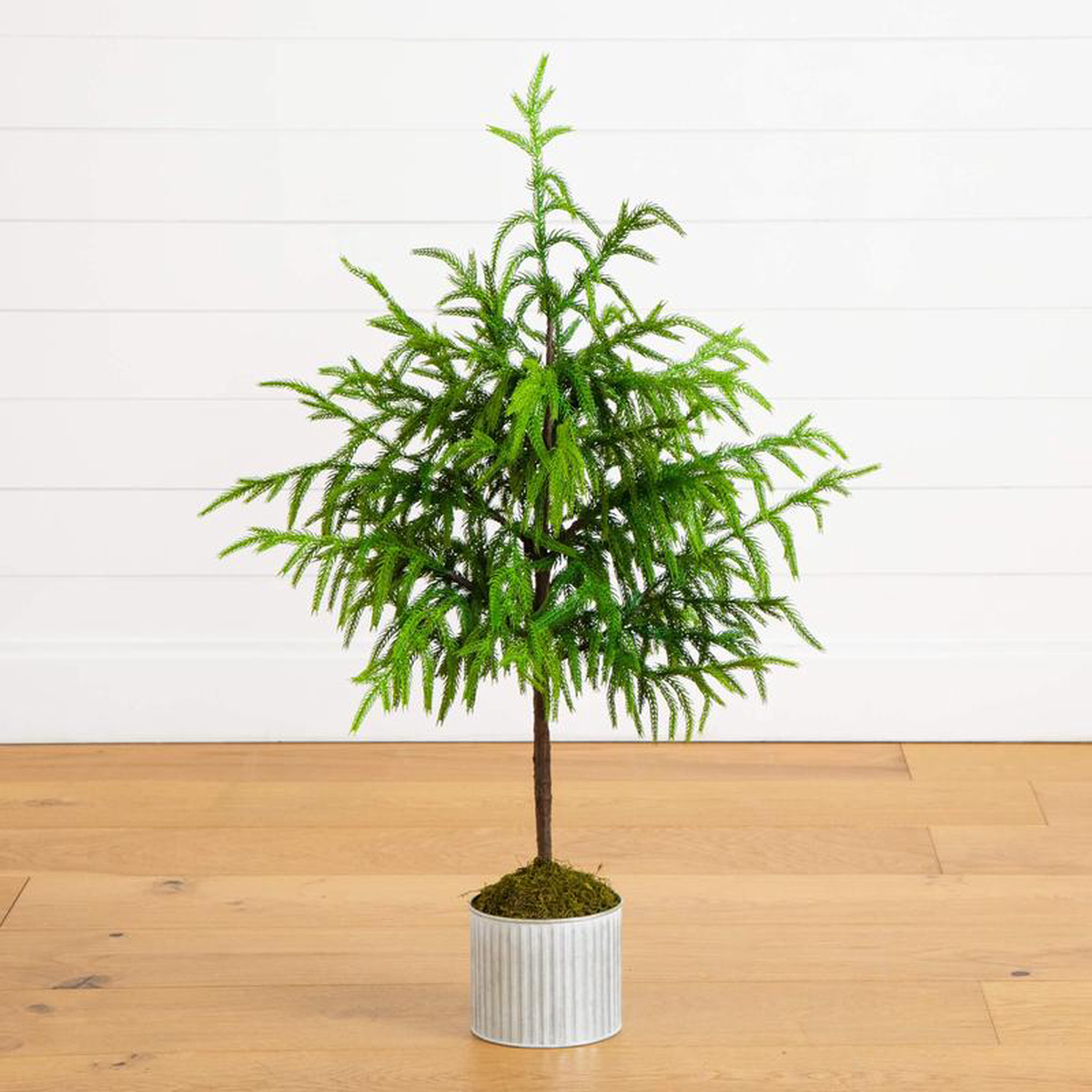 38217 Artificial Real Touch Norfolk Island Pine in Metal Tin Planter with Natural Look
