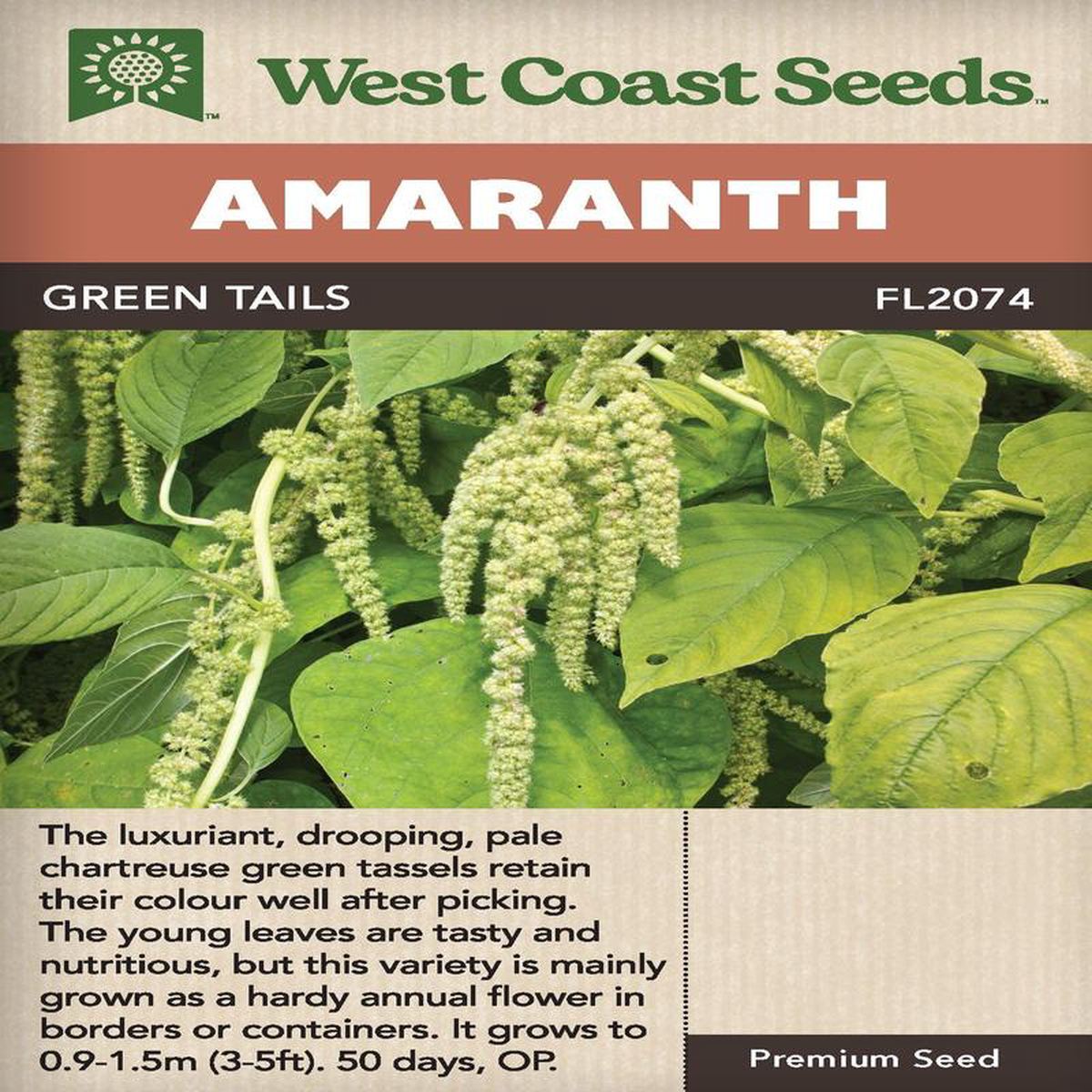 Amaranth Green Tails 8211 West Coast Seeds