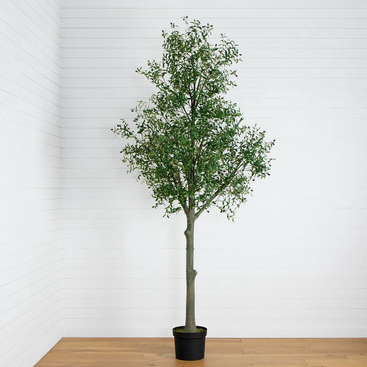12 Giant Artificial Olive Tree