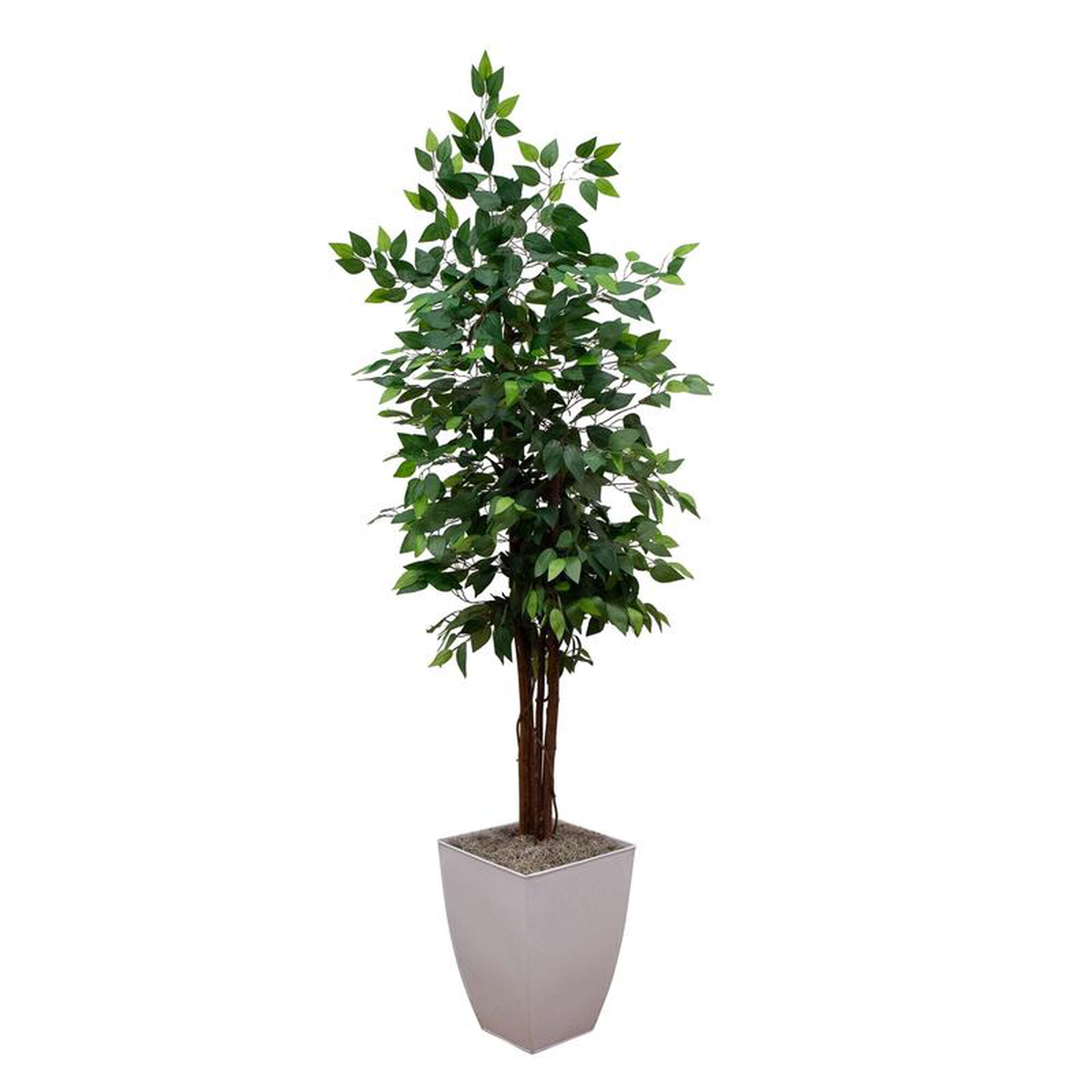68217 Artificial Ficus Tree in White Metal Planter