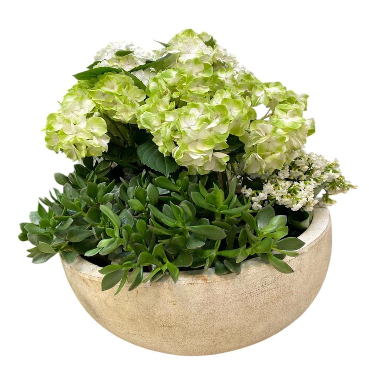 Ceramic Bowl Pot of Hydrangea and Assorted Plants