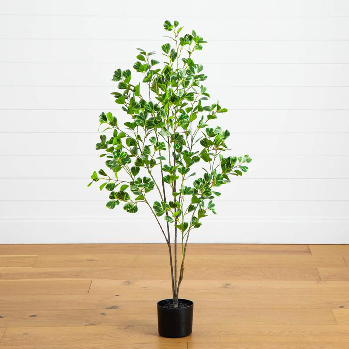 48217 Artificial Heart Shaped Ficus Leaf Tree