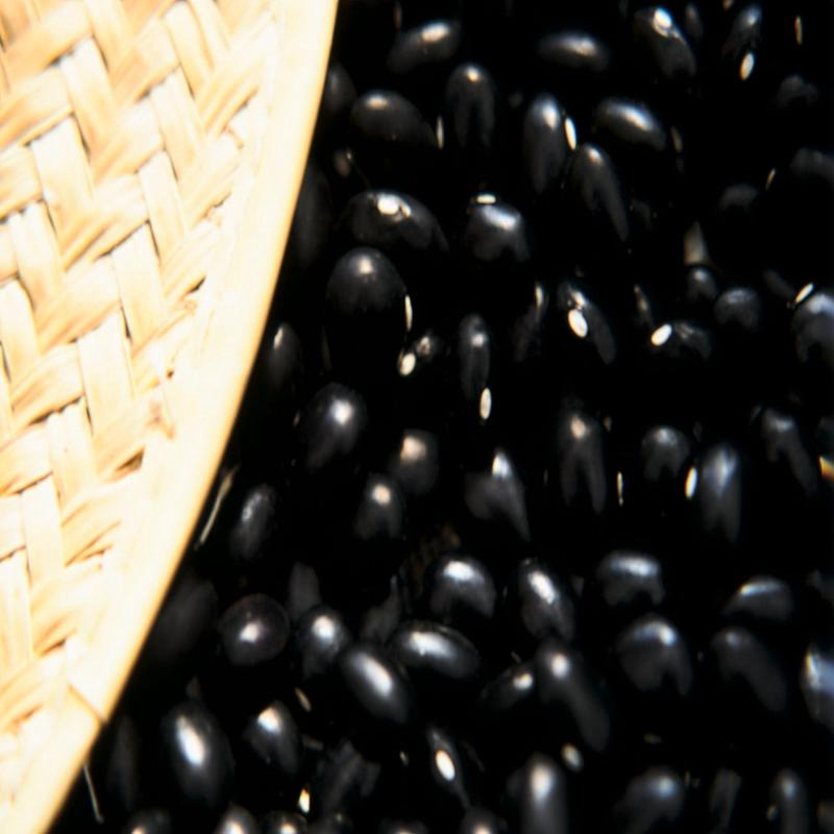 Bean Black Coco Dry Bush 8211 Salt Spring Seeds