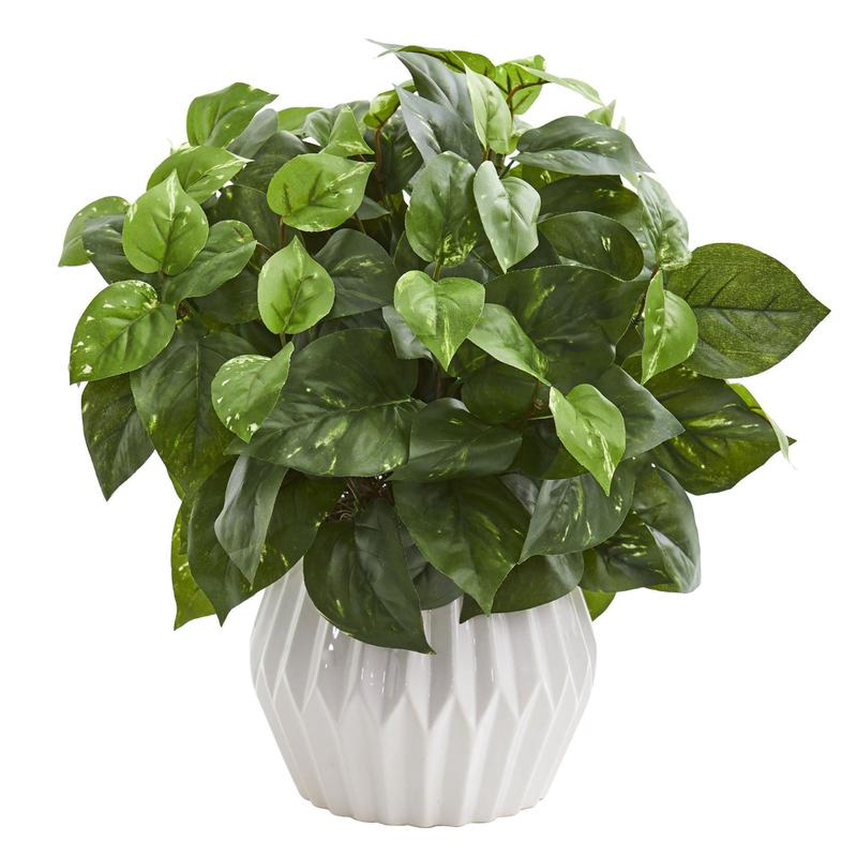 16 Pothos Artificial Plant in White Ceramic Vase