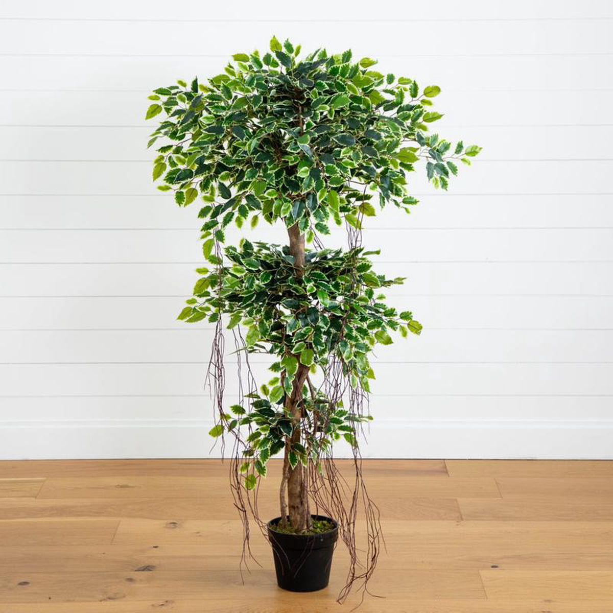 5 Elegant Ficus Artificial Tree