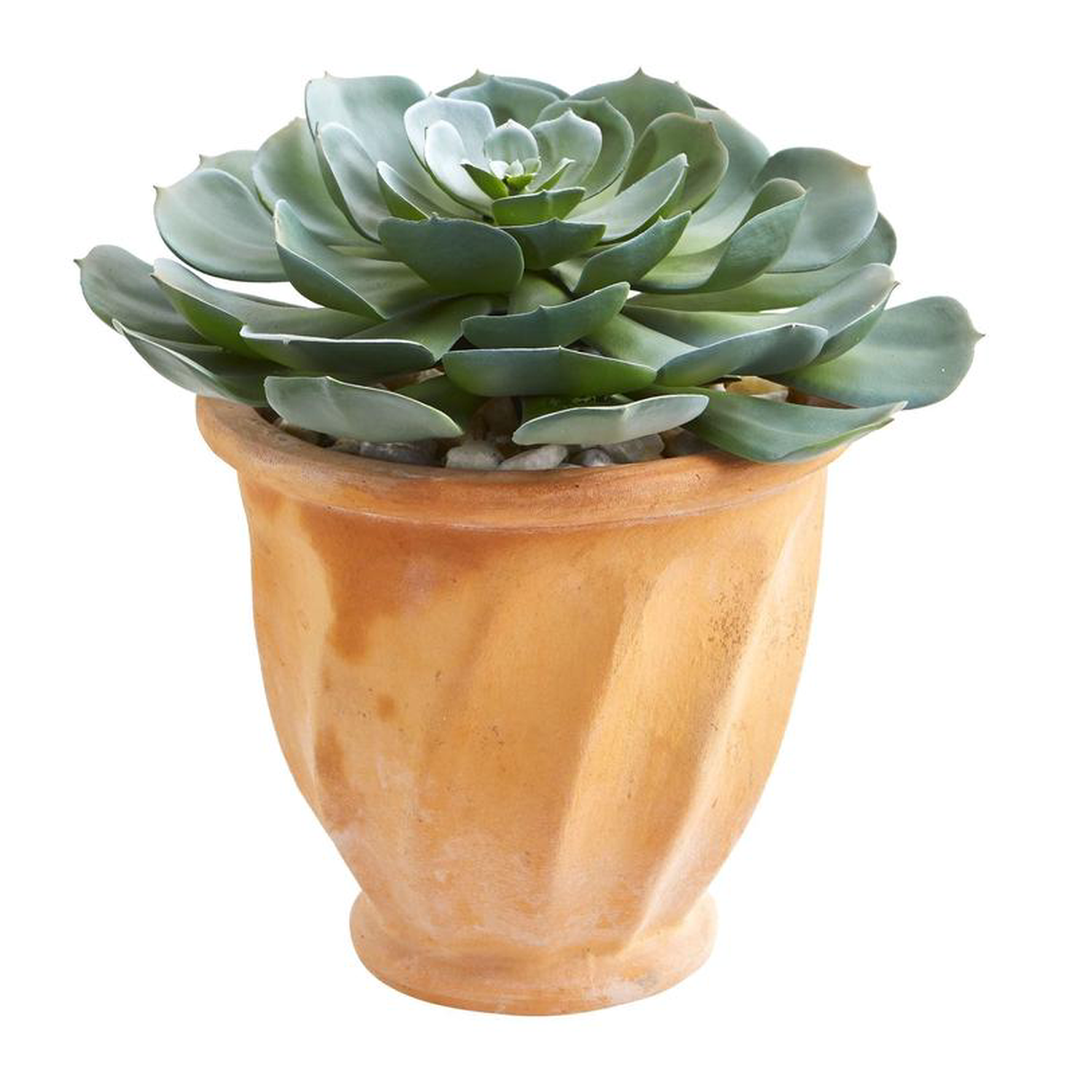 13 Giant Echeveria Succulent Artificial Plant in Terra Cotta Planter