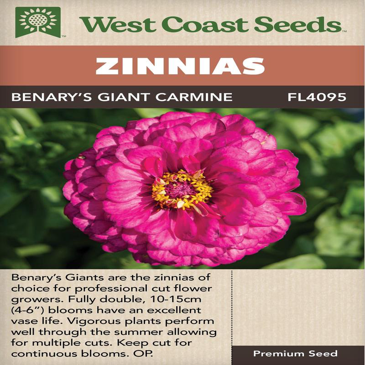 Zinnias Benary8217s Giant Carmine 8211 West Coast Seeds
