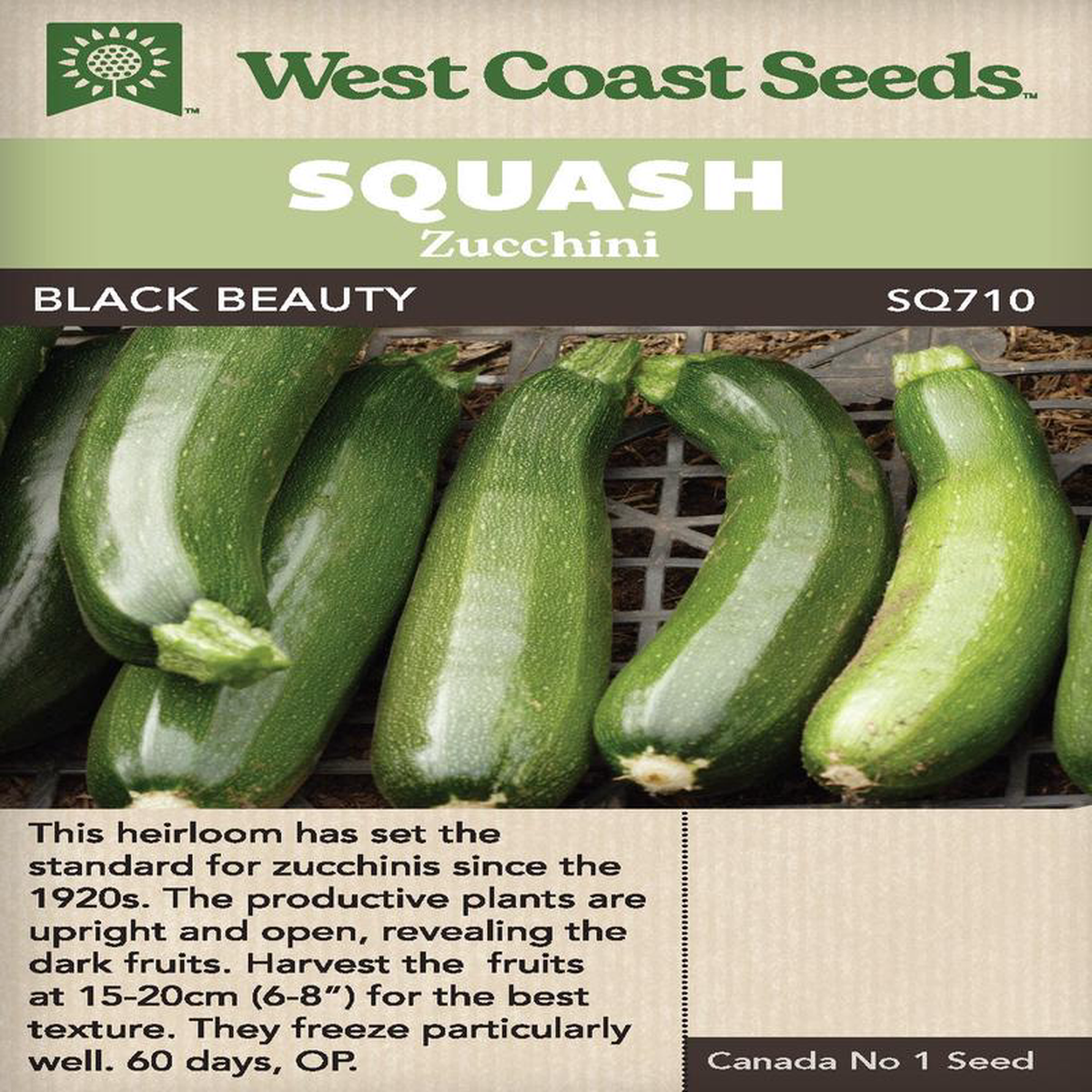Zucchini Black Beauty 8211 West Coast Seeds