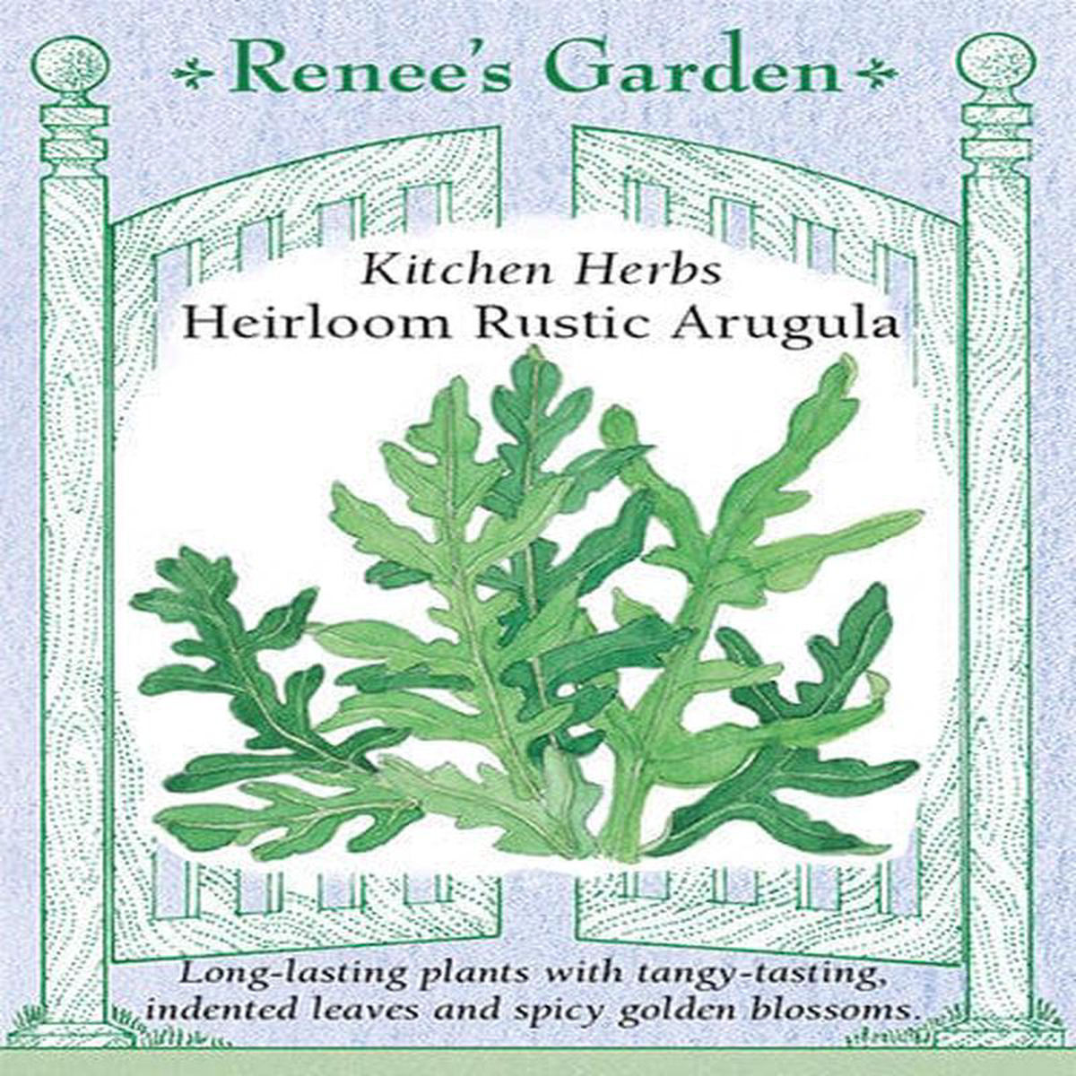Arugula Heirloom Rustic Kitchen Herbs 8211 Renee8217s Garden