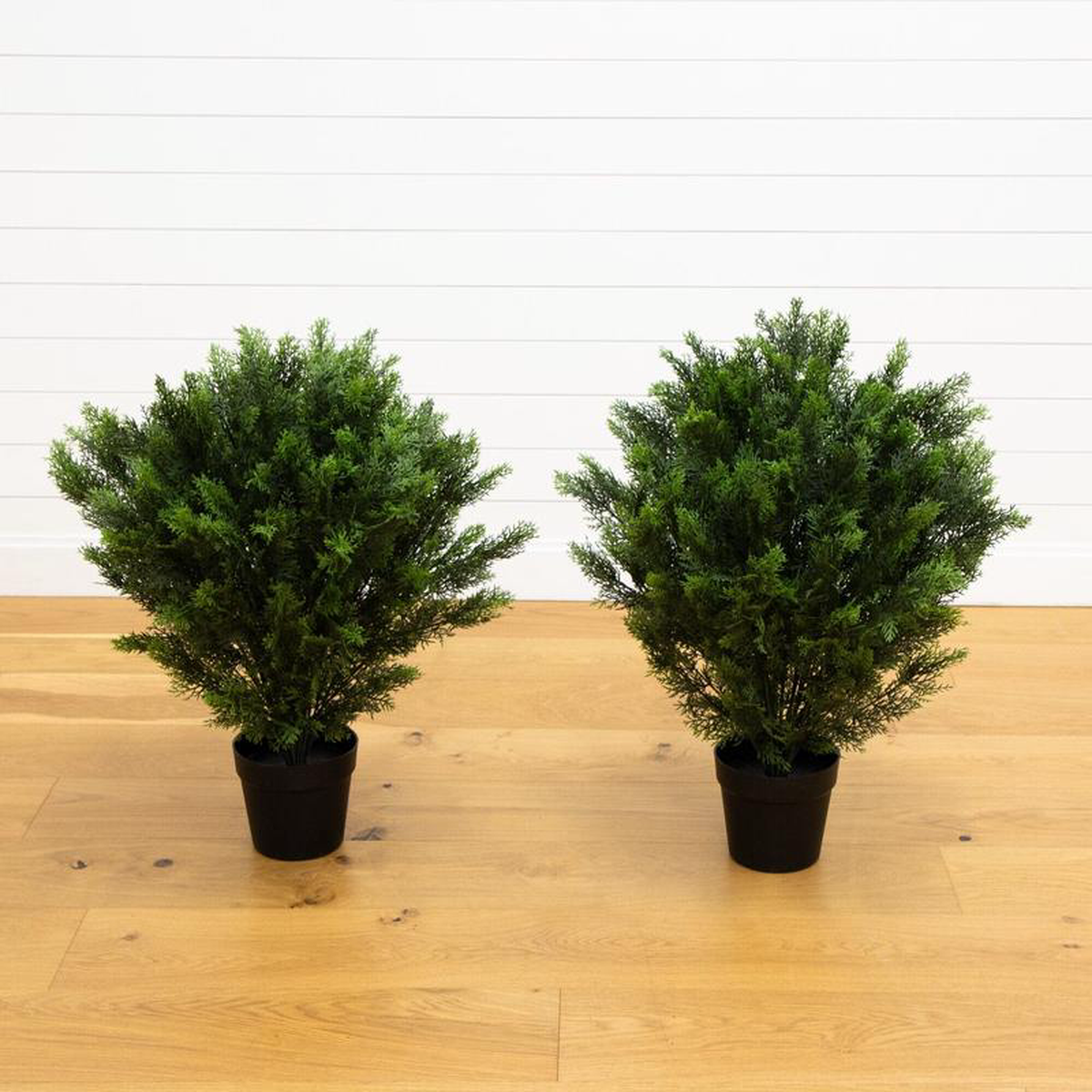 3 Cedar Bush UV Resistant (IndoorOutdoor) 8211 Set of 2