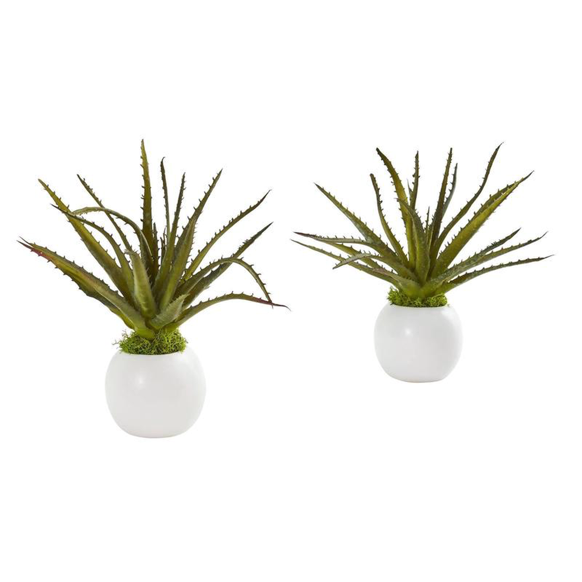 10 Mini Aloe Succulent Artificial Plant in White Vase (Set of 2)