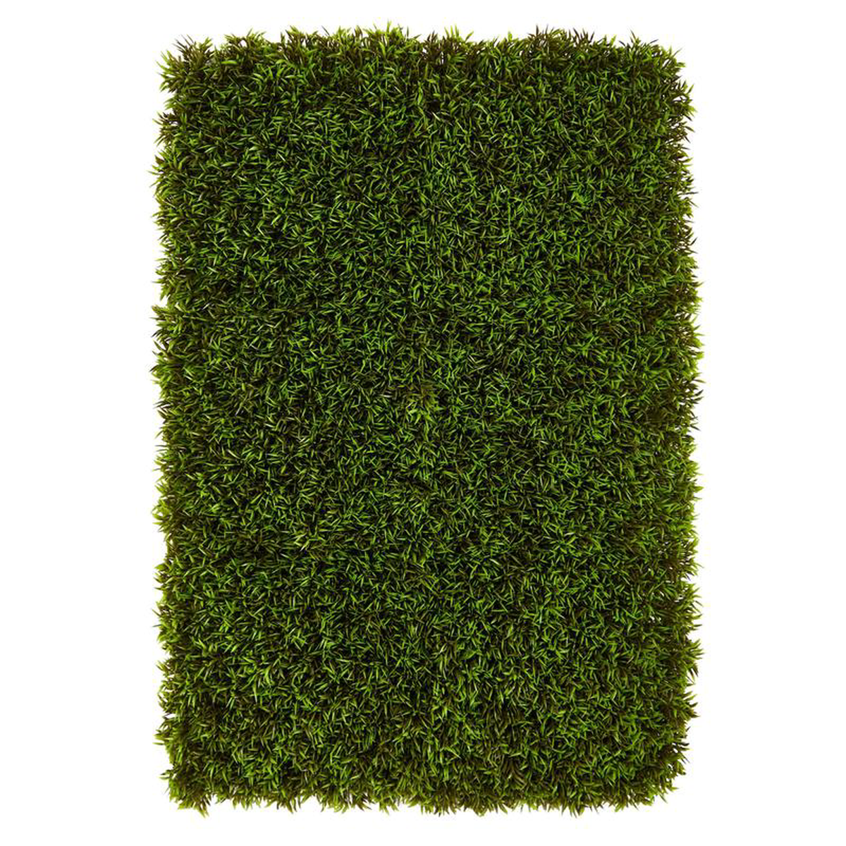12 Mini Podocarpus Artificial Wall Mat (IndoorOutdoor) (Set of 6) Trellis