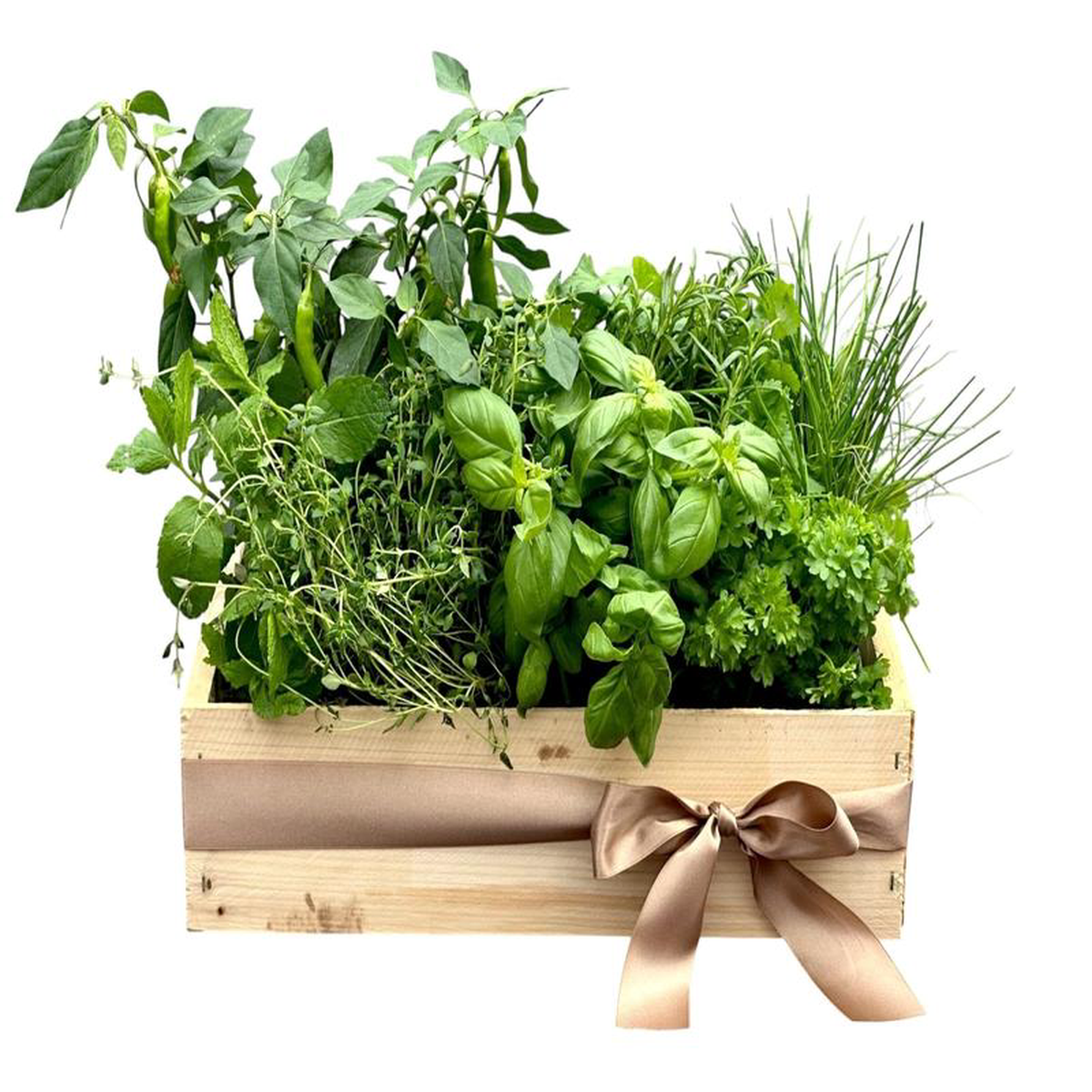 Wooden Crate of Aromatic Herbs