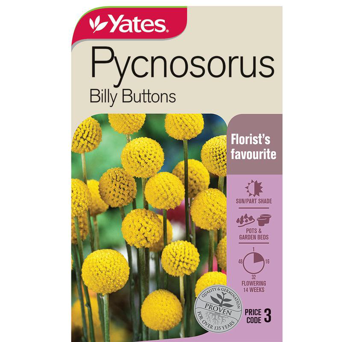 Yates Seed Pycnosorus 8216Billy Buttons8217