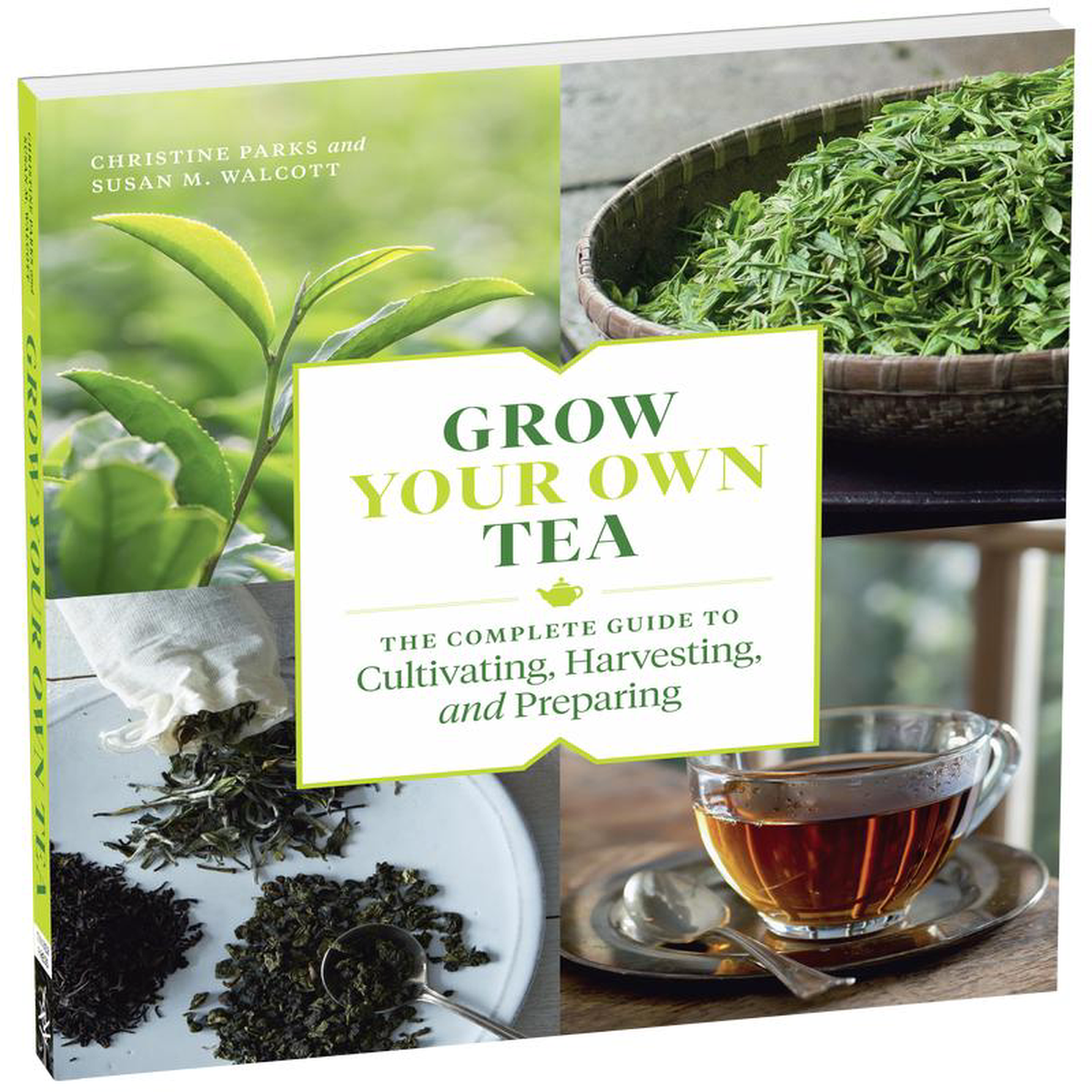 Grow Your Own Tea ParksWalcott