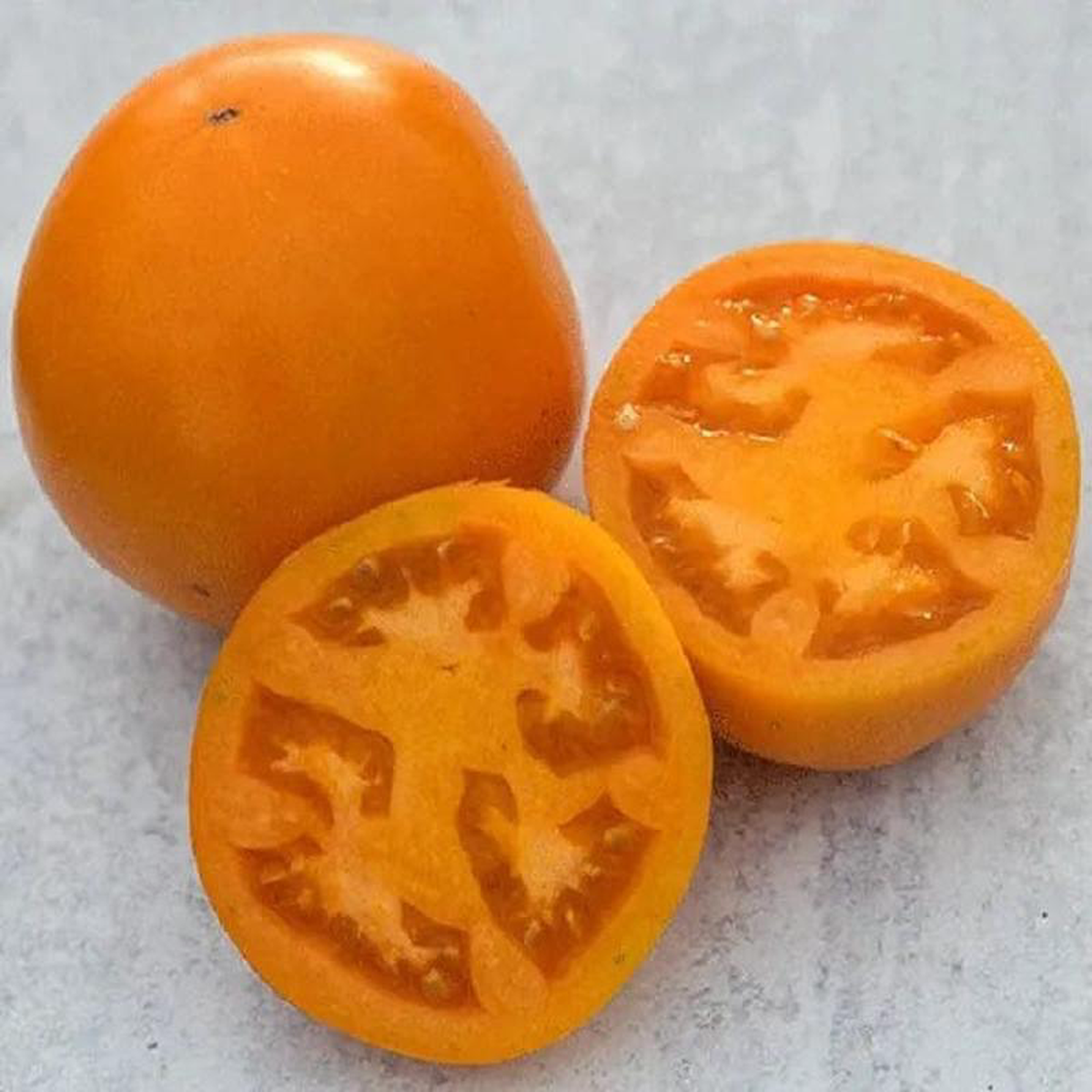 Tomato Orange You Glad 8211 Saanich Organics