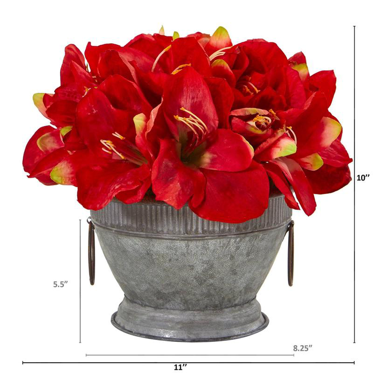 10 Amaryllis Arrangement in Bowl with Copper Trimming