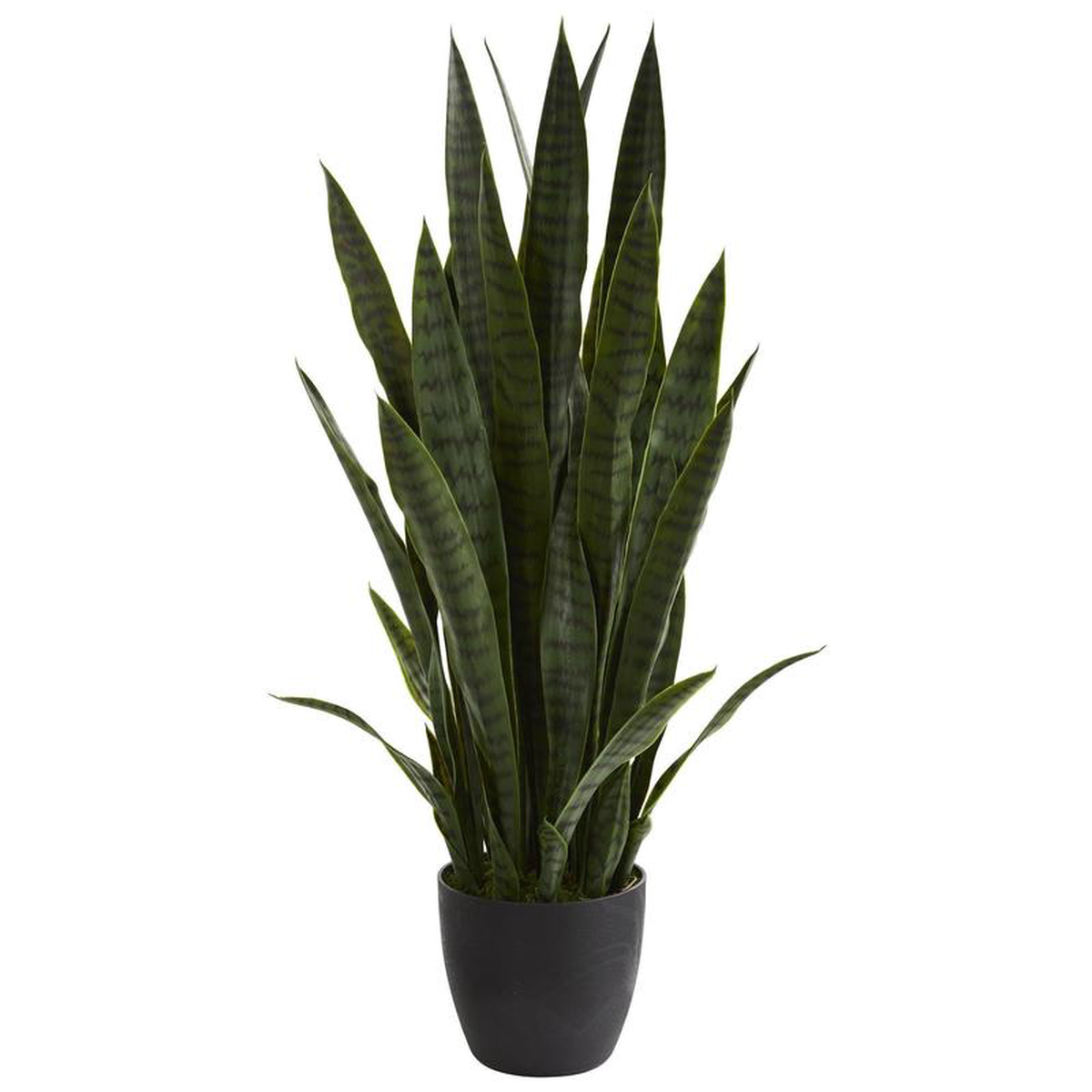 this is a test Product